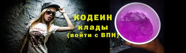 молекула духа Белоозёрский