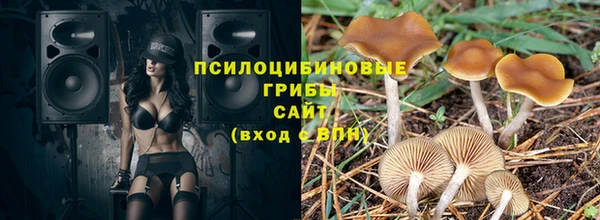 молекула духа Белоозёрский