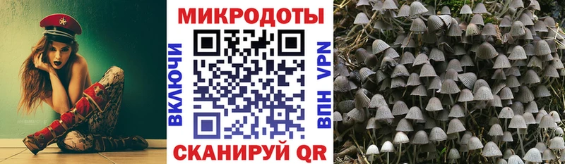 Псилоцибиновые грибы MAGIC MUSHROOMS  Купить закладки  Шадринск 